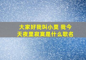 大家好我叫小莫 我今天夜里寂寞是什么歌名